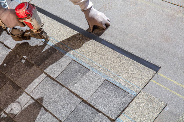 Best Flat Roof Repair Services  in Golden Meadow, LA